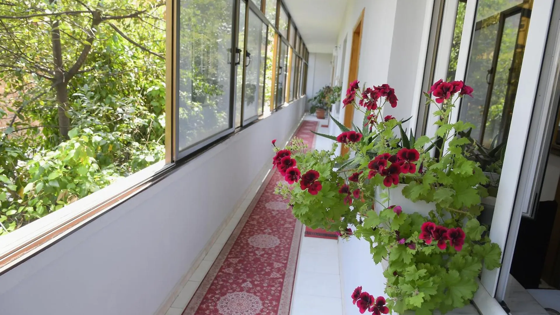 Hotel Haxhiu Tirana Albanie
